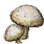 黑色沙漠高級皇帝蘑菇
