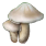 黑色沙漠高級派蘑菇