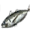 黑色沙漠 [釣魚]知道有一種魚叫竹筴魚嗎？