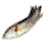 黑色沙漠 蛇頭魚