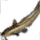 黑色沙漠 鰻鯰
