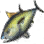 黑色沙漠 黃鰭鮪魚