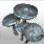 黑色沙漠 奧貝雷的蘑菇幼苗